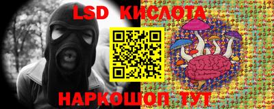 apvp Камышлов