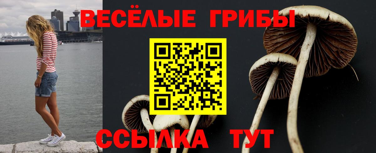 Псилоцибиновые грибы GOLDEN TEACHER Ливны